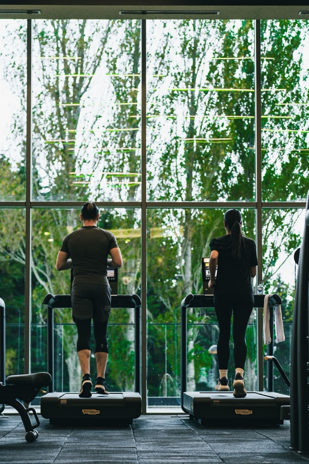 Members training on treadmills by a wall of windows